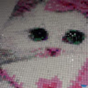 Meet your Posher, Paula